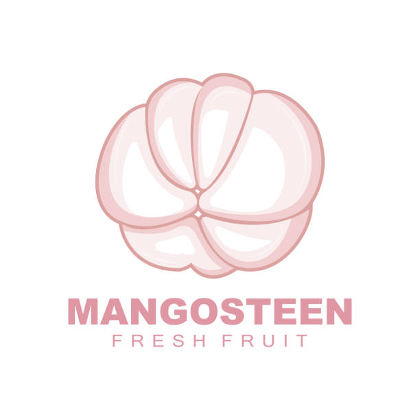 logo mangosteen, ilustracja mangosteen flesh, witamina bogata w owoce królowa, logo owocowe vector label template design - strawberry mangosteen agriculture banana stock illustrations