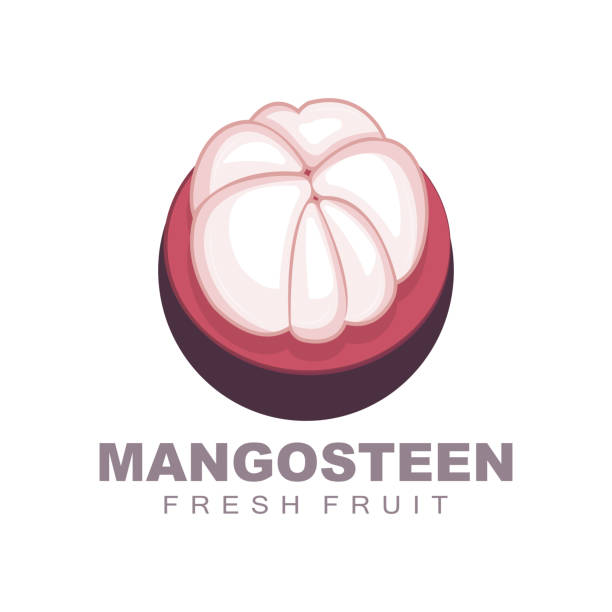 logo mangosteen, ilustracja mangosteen flesh, witamina bogata w owoce królowa, logo owocowe vector label template design - strawberry mangosteen agriculture banana stock illustrations