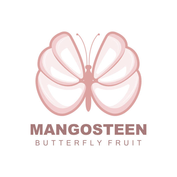 logo mangosteen, ilustracja mangosteen flesh, witamina bogata w owoce królowa, logo owocowe vector label template design - strawberry mangosteen agriculture banana stock illustrations