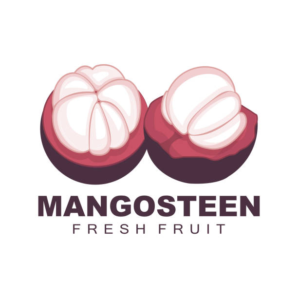 logo mangosteen, ilustracja mangosteen flesh, witamina bogata w owoce królowa, logo owocowe vector label template design - strawberry mangosteen agriculture banana stock illustrations