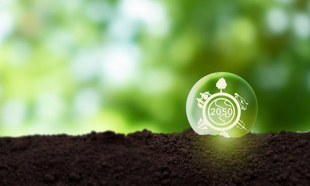 istock Net zero by 2050. Carbon neutral. Net zero greenhouse gas emissions target. Climate neutral long term strategy. No toxic gase. Limit climate change and grobal warming. Sustainable business development 1432271743