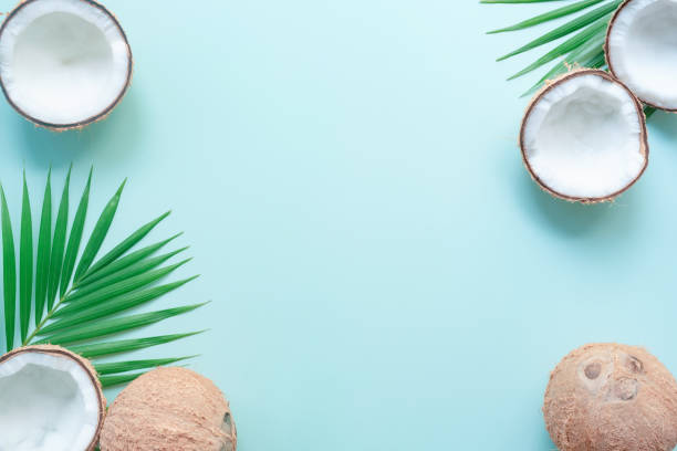 istock Tropical green palm leaf and cracked coconut on Green background. 1432272104