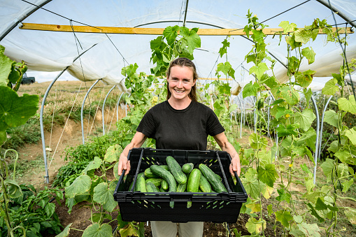 Front view of woman standing inside polytunnel, holding crate of fresh fruit, and smiling at camera.