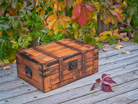 small retro suitcase on a wooden deck with colorful vine foliage , fall holidays, Halloween or Thanksgiving theme
