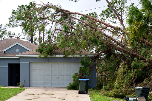 Cayó un gran árbol en una casa después del huracán Ian en Florida. Consecuencias de los desastres naturales photo