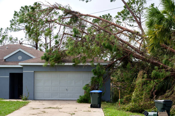 cayó un gran árbol en una casa después del huracán ian en florida. consecuencias de los desastres naturales - repercussions fotografías e imágenes de stock