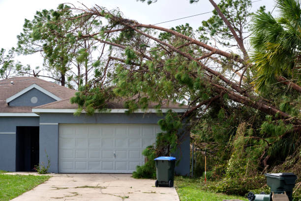 fallen down big tree on a house after hurricane ian in florida. consequences of natural disaster - hurricane florida stok fotoğraflar ve resimler