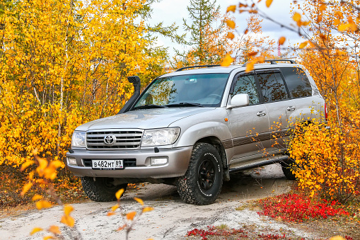 Novyy Urengoy, Russia - September 11, 2022: Offroad car Toyota Land Cruiser 100 in an autumn forest.