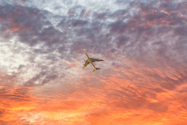 istock Airplane flies over the sky at sunset 1432278998