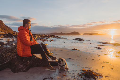 Happy male in a red jacket sitting at the scenic beach with a cute pug, with a view of the islands during bright sunset in More og Romsdal, Norway