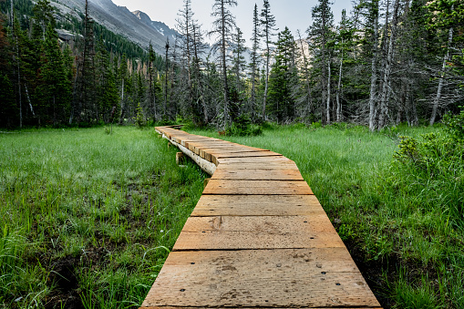 Boardwalk through Meadow toward Sky Pond in Rocky Mountain National Park