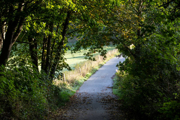 istock Country Road Brabrand, Aarhus 1432285555