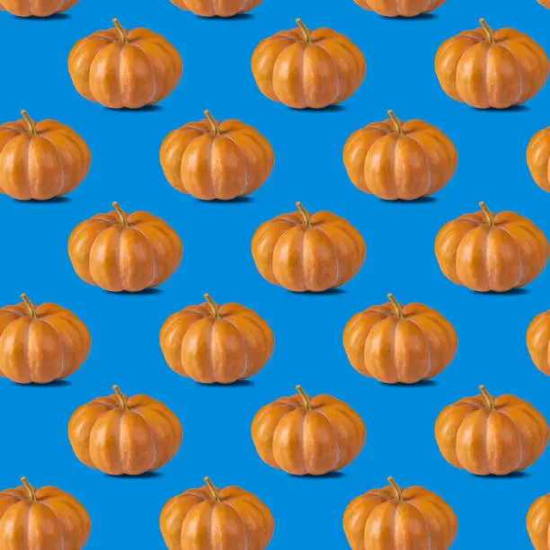 Seamless pattern with pumpkin on blue background for wallpaper, fabric or wrapping-paper. Vegetable concept