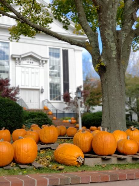 istock Pumpkins For Sale 1432293281