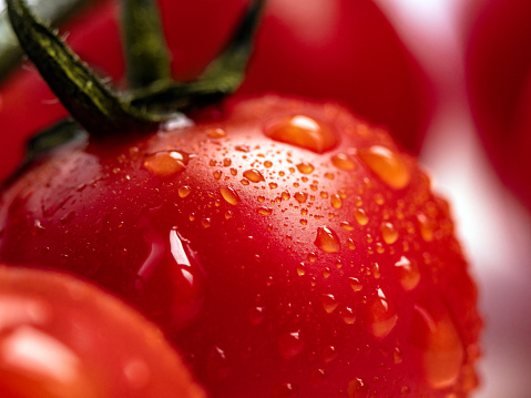 macro photo of fresh red cherry tomato with water drops on it