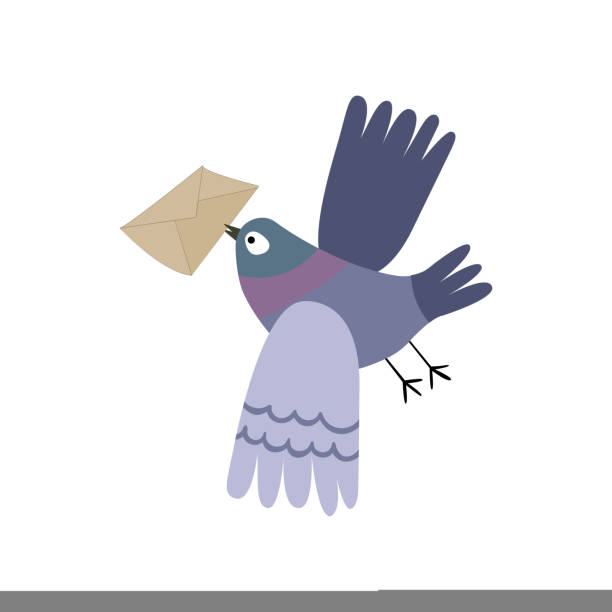 Gray Pigeon Postman Flies With A Mail The Bird Delivers Letters Pigeon Post  Vector Hand Drawn Illustration Stock Illustration - Download Image Now -  iStock