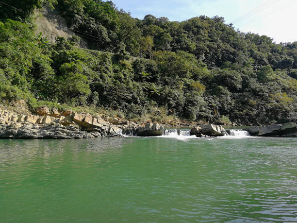 istock green river with rock and stones and trees beside 1432300060