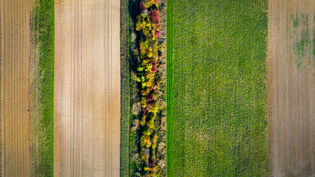 istock Agricultural area - abstract aerial view 1432303636