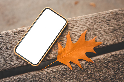 Phone with an isolated screen in the park on a bench, autumn offer, a place for your advertising.