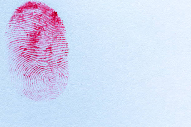 istock Red fingerprint on white paper 1432306489