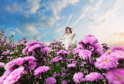 Asian woman and flower field,Beautiful asian girl Taking pictures in a flower farm. Happily in Chiang Mai, Thailand