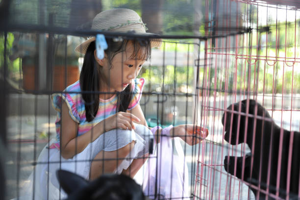 a asian girl playing with a black dog.