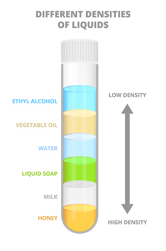 Vector scientific diagram of density liquids or different densities of liquids isolated on a white background. Separate fluids layers from high to low density in a test tube – honey, milk,liquid soap, water, vegetable oil and ethyl alcohol.