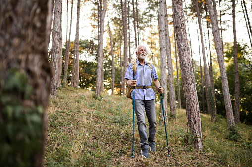 Senior man using hiking poles on a hike
