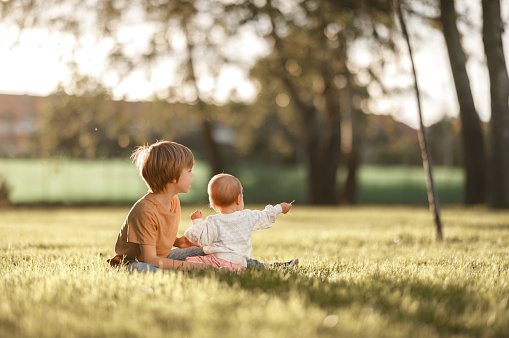 Happy boy and his baby sister spending day in the nature while sitting on the meadow