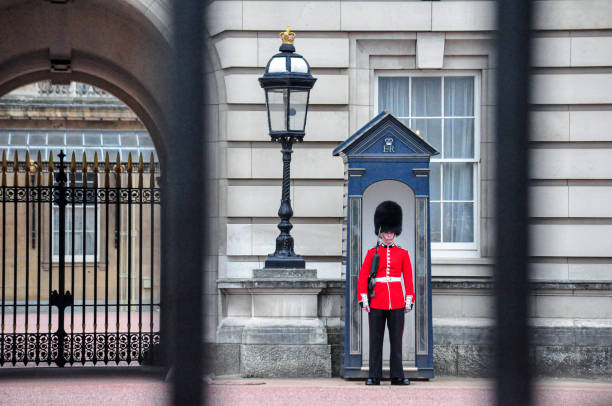 one armed soldier guard using bearskin standing in the front yard at buckingham palace, london, england - honor guard buckingham palace protection london england imagens e fotografias de stock