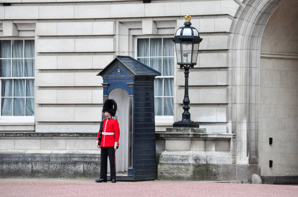 one armed soldier guard using bearskin standing in the front yard at buckingham palace, london, england - honor guard buckingham palace protection london england imagens e fotografias de stock