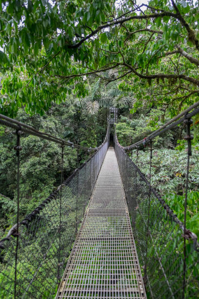 istock Suspension bridge in a natural park 1432326656