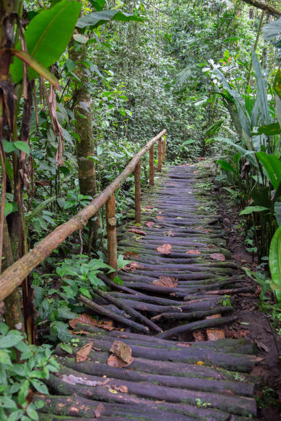 istock Old bridge in a natural park 1432326658