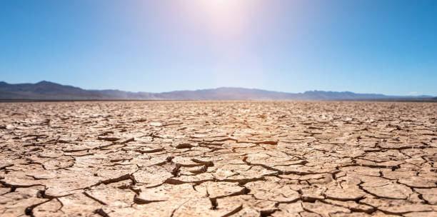 drought cracked landscape, dead land due to water shortage - lakebed imagens e fotografias de stock