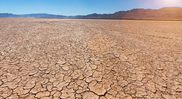 istock drought cracked landscape, dead land due to water shortage 1432328746