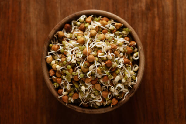 Close-up of A mix of organic sprout seeds sprouting ( germinating) bowl contains almond, groundnut, black gram, wheet, fenugreek and mung beens,  in bowl in the studio Close-up of A mix of organic sprout seeds sprouting ( germinating) bowl contains almond, groundnut, black gram, wheet, fenugreek and mung beens,  in bowl in the studio grain sprout stock pictures, royalty-free photos & images