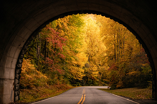 Tunnel and autumn foliage