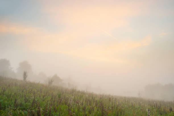 Serene landscape in the fog - the shores of Lake Otolovo in Belarus