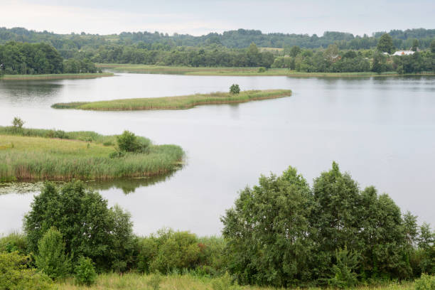 istock Serene landscape with a lake 1432332606