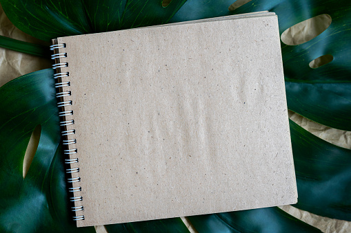 Top view of blank spiral notepad on green summer leaves. Empty page of paper notebook, flat lay, copy space