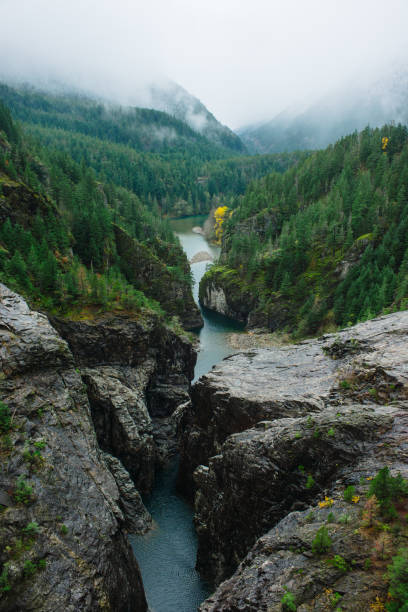 River in PNW Mountain Valley A river running through a valley in the North Cascades National Park in Washington State. north cascades national park cascade range waterfall snowcapped stock pictures, royalty-free photos & images