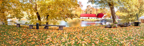 istock Autumn in old city park 1432339047