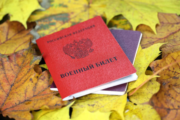 Russian military ID on maple leaves, translation of inscription: Military ID card, Russian Federation stock photo