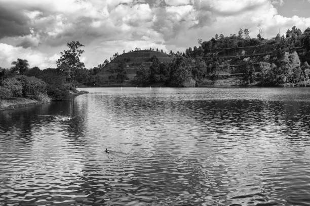 Beautiful lake in the park
