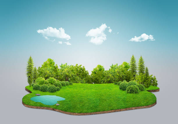 reise- und urlaubshintergrund. 3d-illustration mit schnitt des bodens und der graslandschaft. die bäume auf der insel und felsen. blauer himmel mit isolierten wolken im hintergrund. - flowing nature leaf tree stock-fotos und bilder