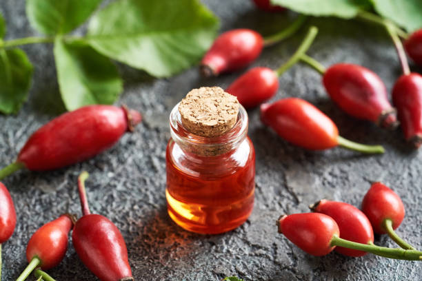 istock Red rosehip seed oil with fresh rose hips 1432343247