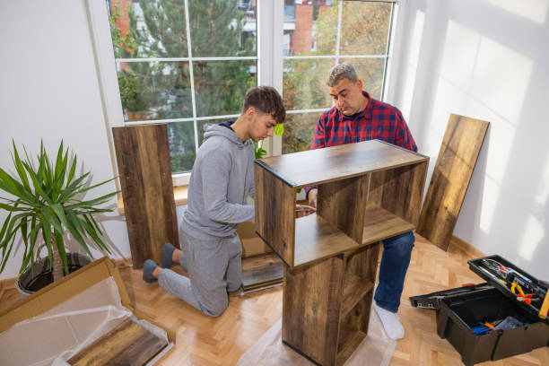 istock Caucasian father and son assembling shelf in the room 1432343672