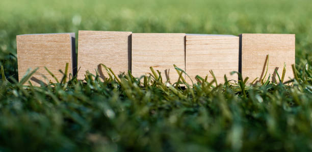 istock wooden cubes on the lawn 1432343851