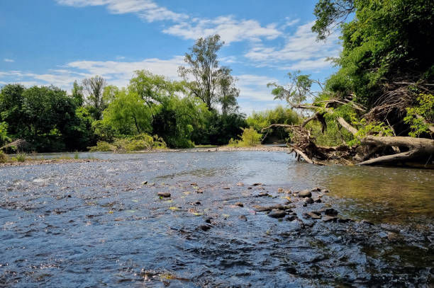 istock Beautiful river in a countryside landscape 1432347008