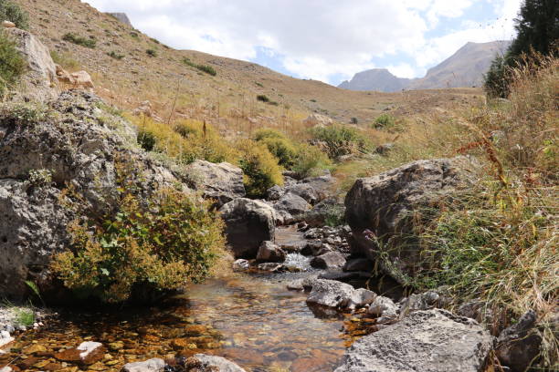 istock Stream flowing through rocks in sunny weather 1432349465
